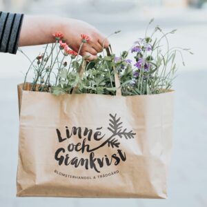 Linné och Grankvist - sommarpåsen
